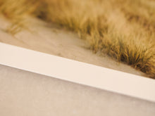 Load image into Gallery viewer, 'Nehalem Beach' - Fine Art Giclée Print